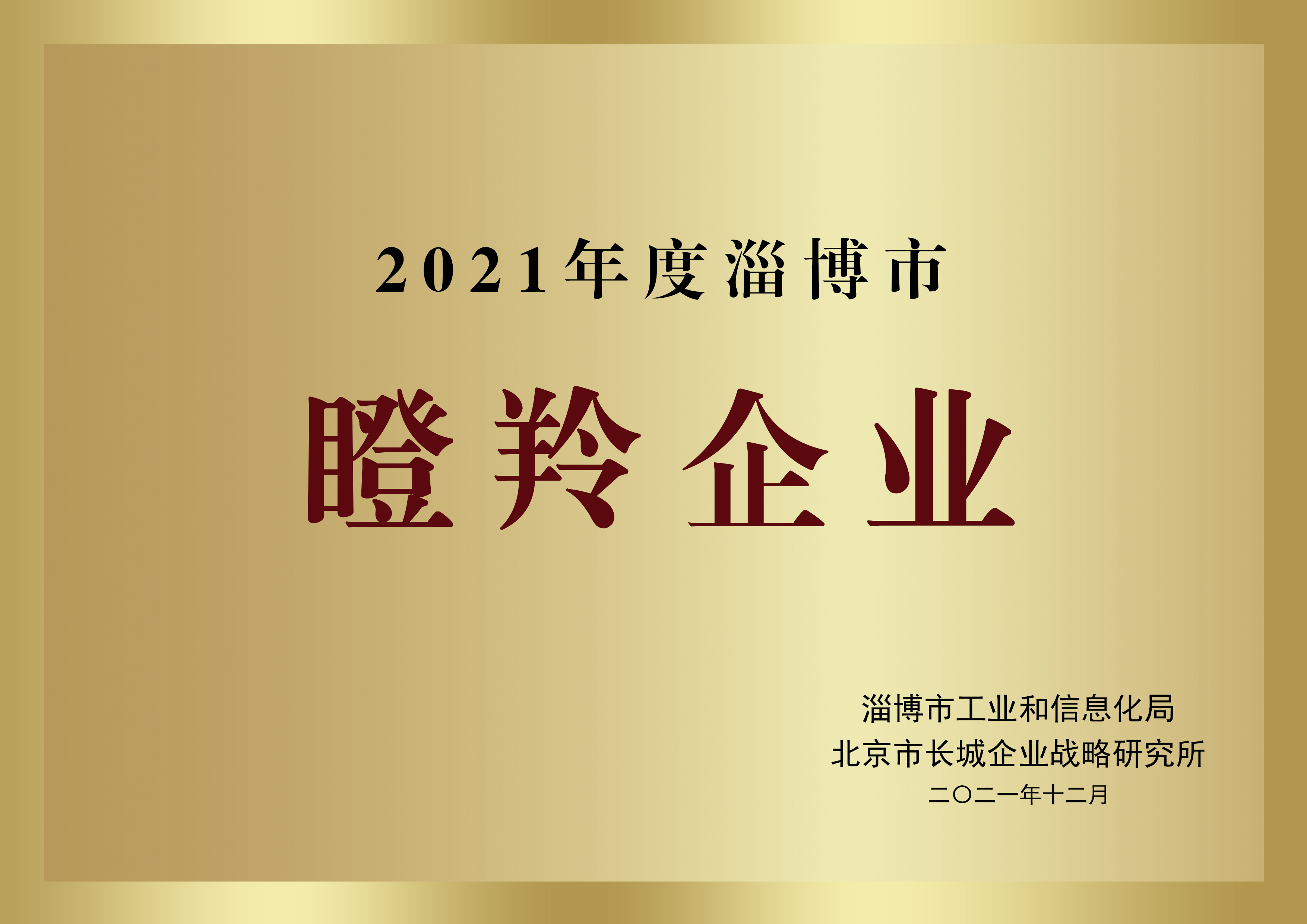 瞪羚企业