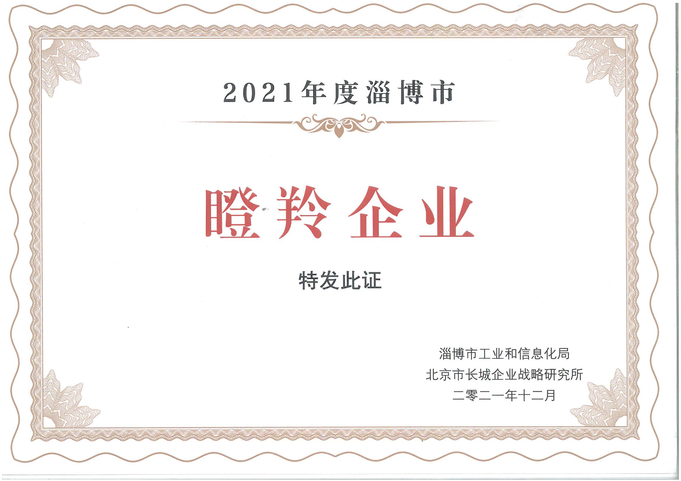 瞪羚企业